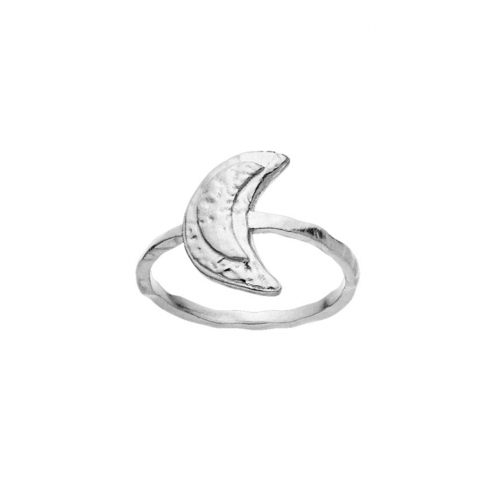 Jacinta Ring Sølv i gruppen Ringer / Sølvringer hos SCANDINAVIAN JEWELRY DESIGN (4811C)