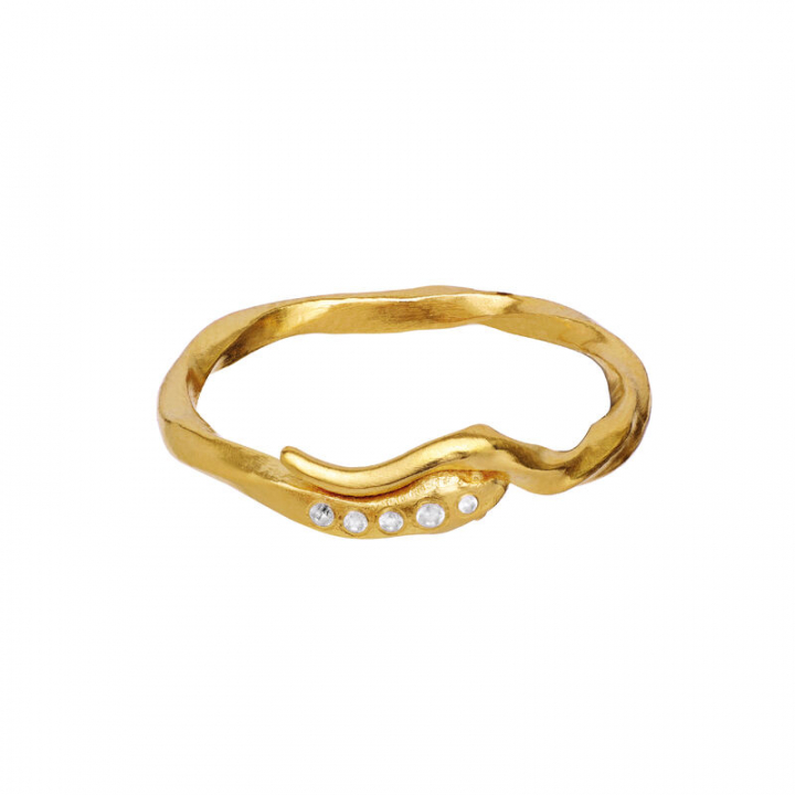 Hera Ring Gull i gruppen Ringer / Gullringer hos SCANDINAVIAN JEWELRY DESIGN (4814A)