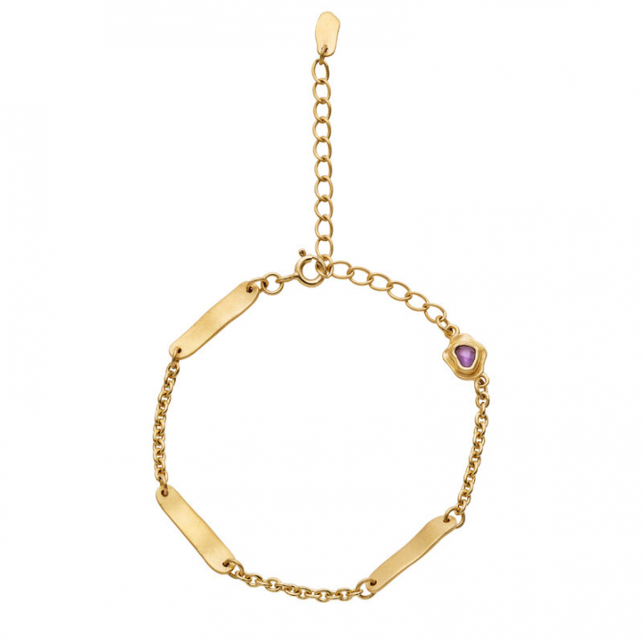 Dedee Armbånd Gull i gruppen Armbånd / Gullarmbånd hos SCANDINAVIAN JEWELRY DESIGN (8597a)