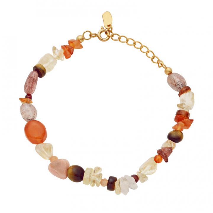 Pheonix Element Armbånd Gull i gruppen Armbånd / Gullarmbånd hos SCANDINAVIAN JEWELRY DESIGN (8604A)