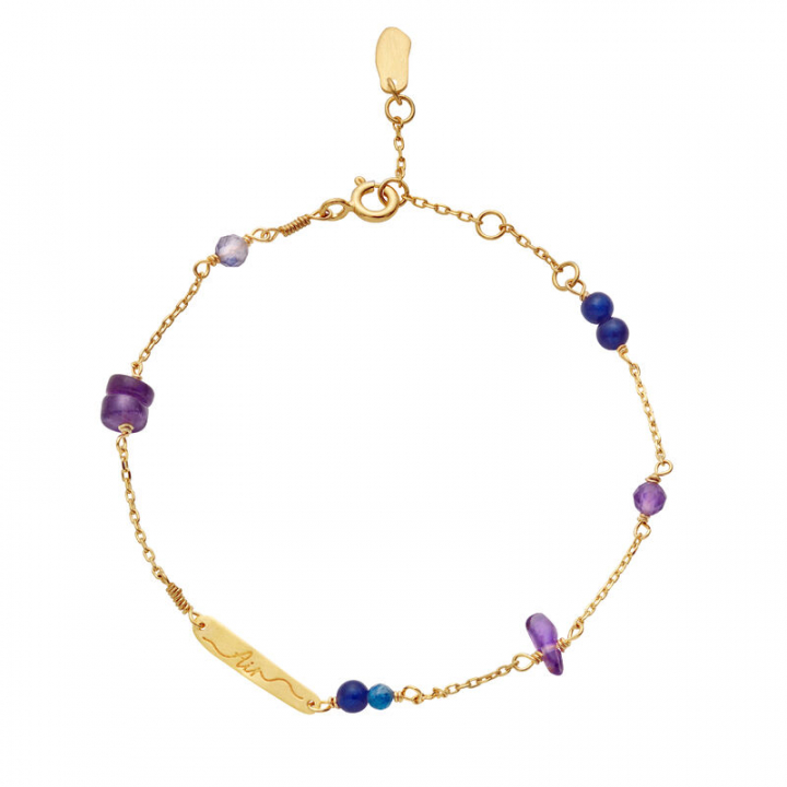 Product Image for Maanesten Levita Element Armbånd Gull