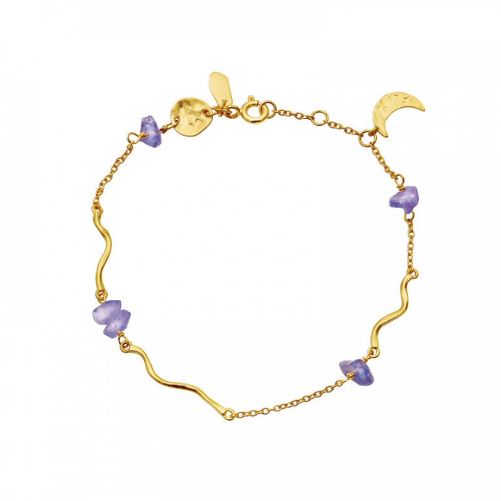 Lillith Armbånd Gull i gruppen Armbånd hos SCANDINAVIAN JEWELRY DESIGN (8614A)