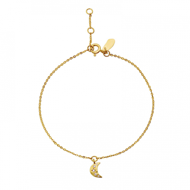 Celestia Armbånd Gull i gruppen Armbånd / Gullarmbånd hos SCANDINAVIAN JEWELRY DESIGN (8618A)
