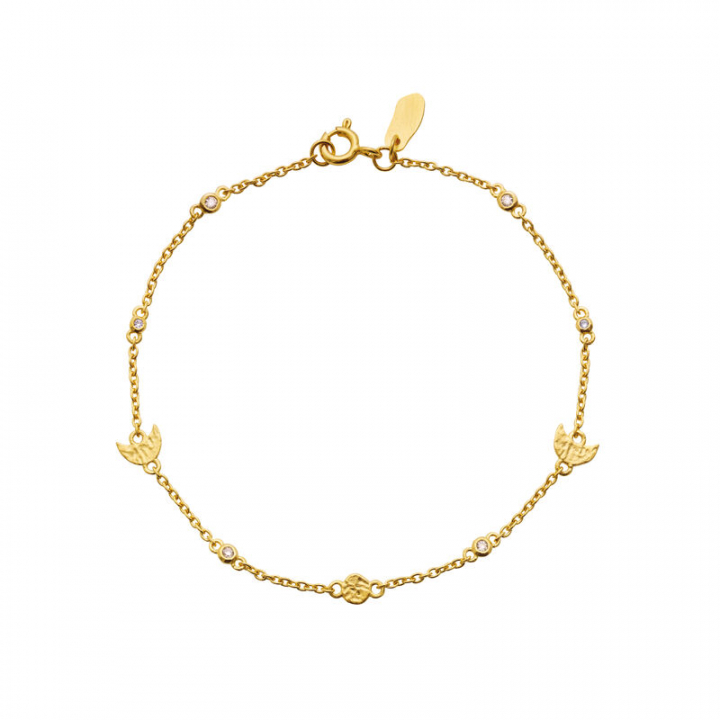 Cecilia Armbånd Gull i gruppen Armbånd hos SCANDINAVIAN JEWELRY DESIGN (8619A)