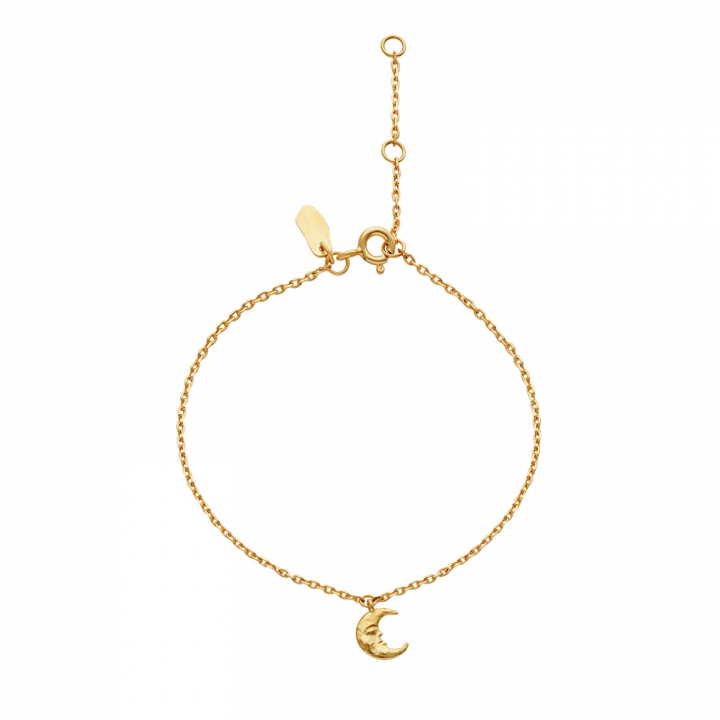 Laura Bracelet Gold i gruppen Armbånd / Gullarmbånd hos SCANDINAVIAN JEWELRY DESIGN (8689A)