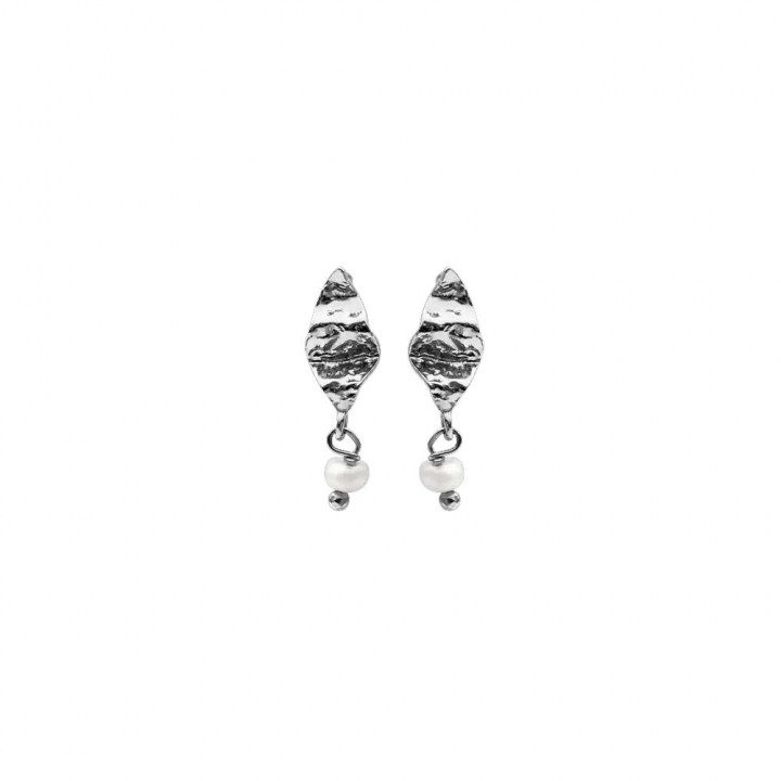 Lucca Earsticks Sølv i gruppen Øredobber hos SCANDINAVIAN JEWELRY DESIGN (9531C)