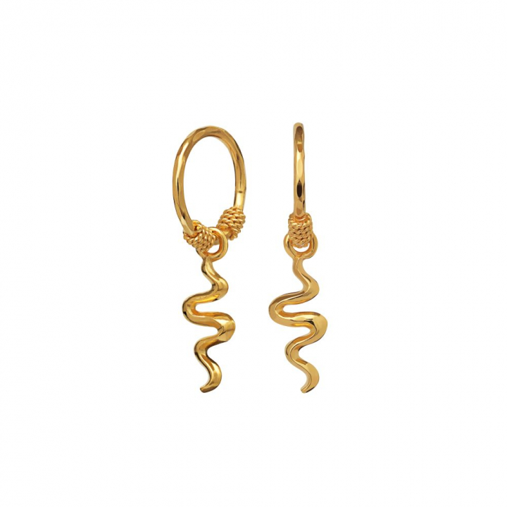 Aryah Øreringer Gull i gruppen Øredobber / Gulløredobber hos SCANDINAVIAN JEWELRY DESIGN (9579A)