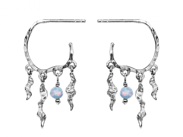 Bayou Øreringer Sølv i gruppen Øredobber / Sølvøredobber hos SCANDINAVIAN JEWELRY DESIGN (9664C)