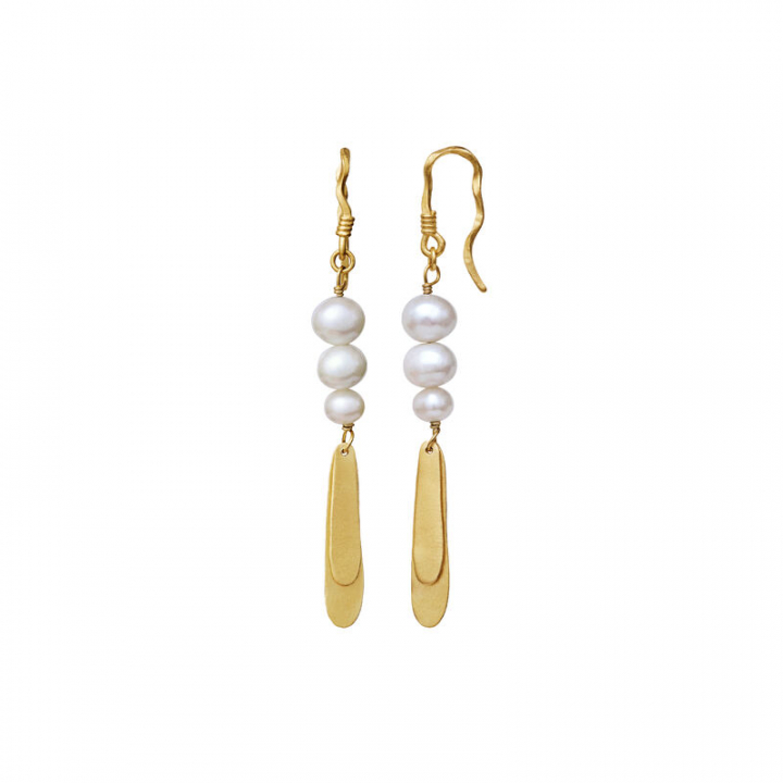 Smilla Øreringer Gull i gruppen Øredobber / Perleøredobber hos SCANDINAVIAN JEWELRY DESIGN (9808a)