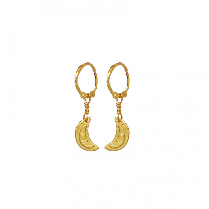 Odessa Øreringer Gull i gruppen Øredobber / Gulløredobber hos SCANDINAVIAN JEWELRY DESIGN (9841A)