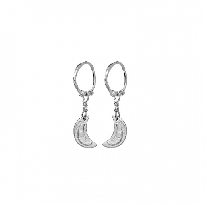 Odessa Øreringer Sølv i gruppen Øredobber / Sølvøredobber hos SCANDINAVIAN JEWELRY DESIGN (9841C)