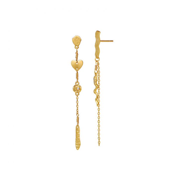 Delfine Øreringer Gull i gruppen Øredobber / Gulløredobber hos SCANDINAVIAN JEWELRY DESIGN (9847A)