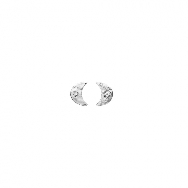 Aega Earsticks Sølv i gruppen Øredobber / Sølvøredobber hos SCANDINAVIAN JEWELRY DESIGN (9857C)