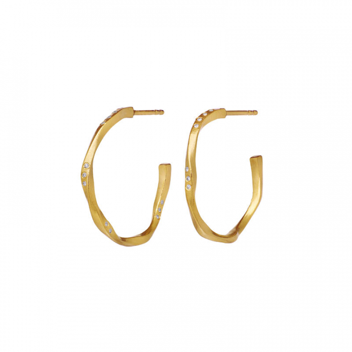 Echo Medium Øreringer Gull i gruppen Øredobber / Gulløredobber hos SCANDINAVIAN JEWELRY DESIGN (9862A)