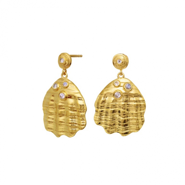 PALMA Earrings Gold i gruppen Øredobber / Gulløredobber hos SCANDINAVIAN JEWELRY DESIGN (9879A)