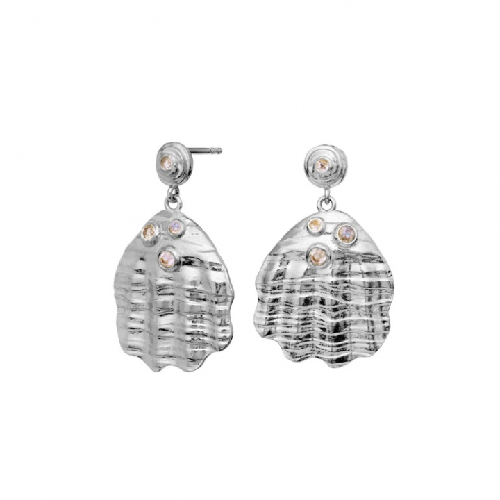PALMA Earrings Silver i gruppen Øredobber / Sølvøredobber hos SCANDINAVIAN JEWELRY DESIGN (9879C)