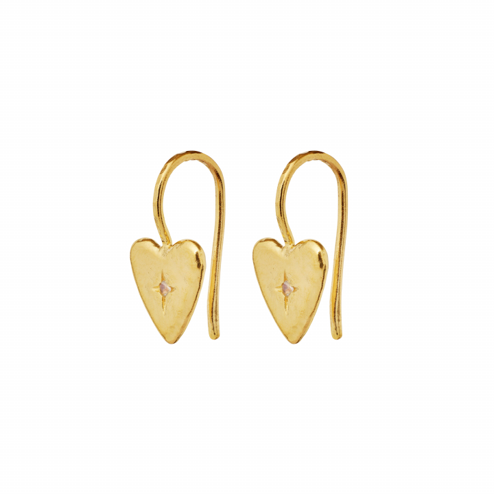 Chandra Earrings Gold i gruppen Øredobber / Gulløredobber hos SCANDINAVIAN JEWELRY DESIGN (9933A)
