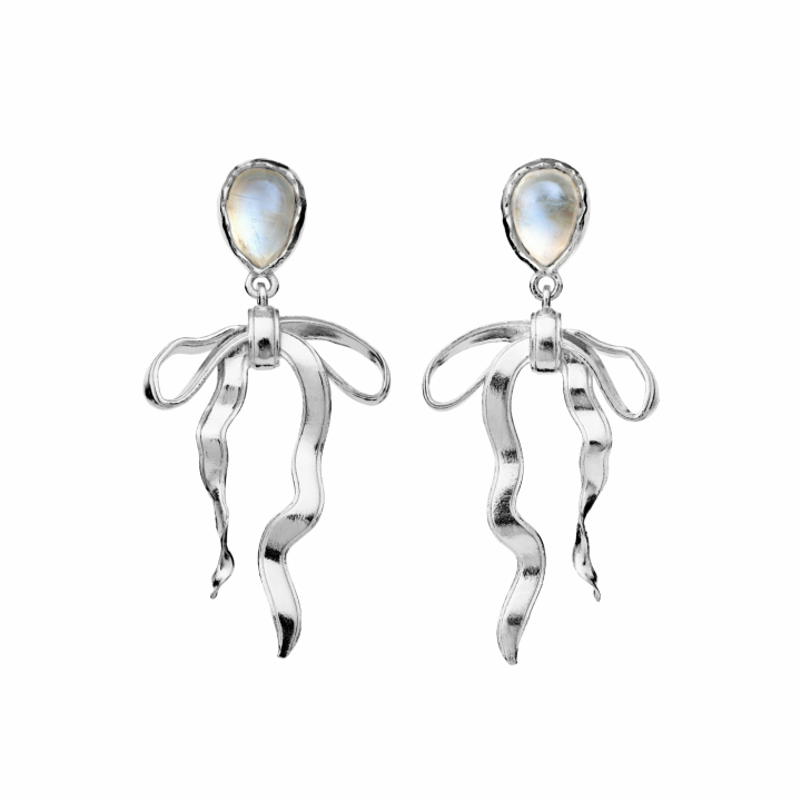 Tiana Earrings silver i gruppen Øredobber hos SCANDINAVIAN JEWELRY DESIGN (9940C)