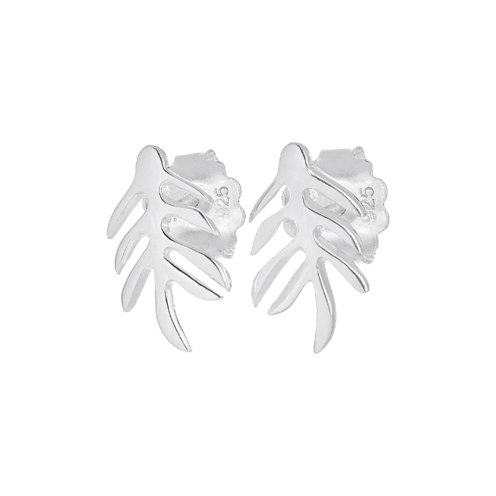 Autumn Leaf drop studs i gruppen Øredobber / Sølvøredobber hos SCANDINAVIAN JEWELRY DESIGN (ALF-E1S000-S)