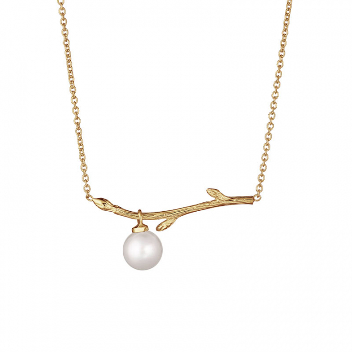 Branch pearl necklace gold i gruppen Øredobber / Gulløredobber hos SCANDINAVIAN JEWELRY DESIGN (BAH-N1M2501-G)