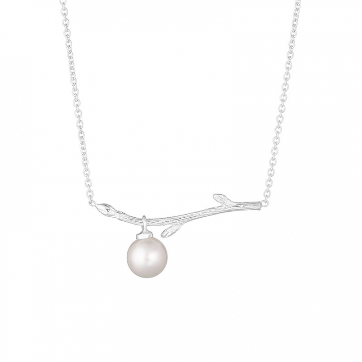 Branch pearl necklace i gruppen Halskjede / Sølvkjede hos SCANDINAVIAN JEWELRY DESIGN (BAH-N1M2501-S)