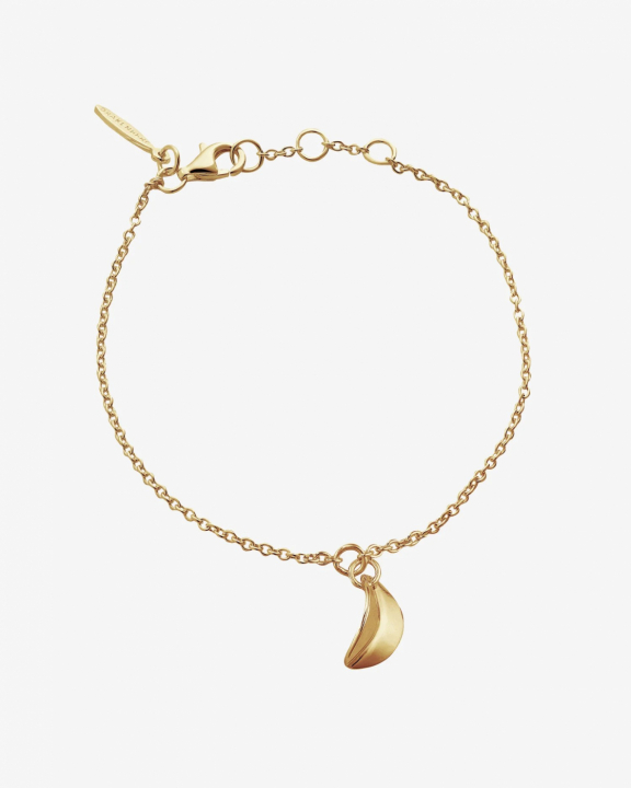 Botanica drop bracelet gold i gruppen Armbånd / Gullarmbånd hos SCANDINAVIAN JEWELRY DESIGN (BTA-B1S181-G)