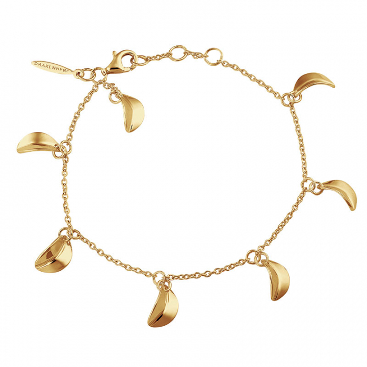 Botanica drop full bracelet gold i gruppen Armbånd / Gullarmbånd hos SCANDINAVIAN JEWELRY DESIGN (BTA-B2S181-G)