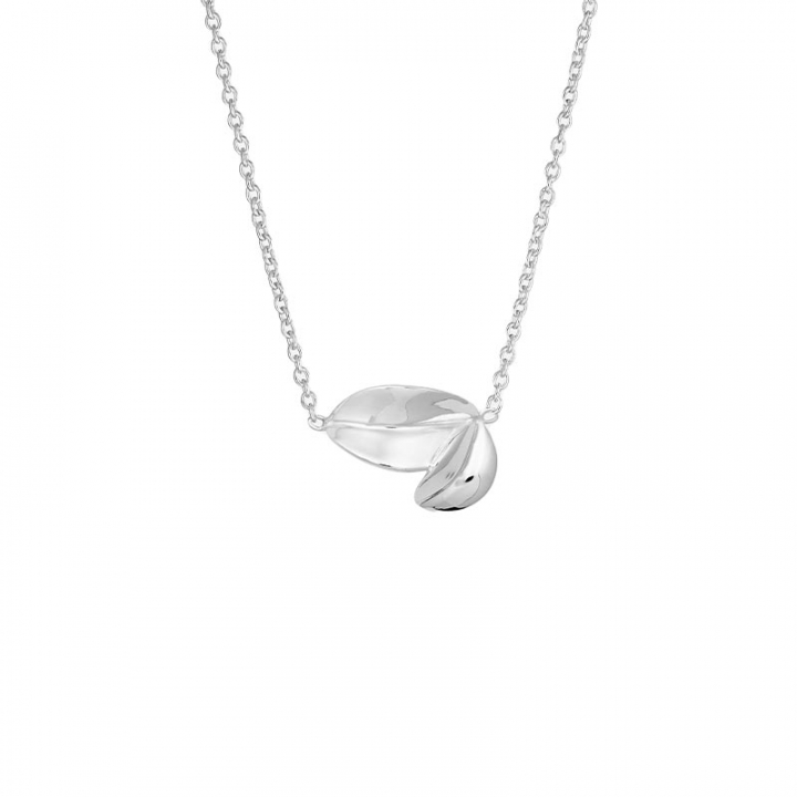 Botanica double necklace i gruppen Halskjede / Sølvkjede hos SCANDINAVIAN JEWELRY DESIGN (BTA-N1M501-S)