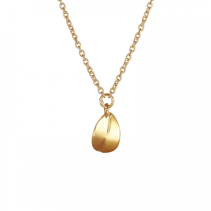 Botanica drop necklace gold i gruppen Halskjede / Gullkjede hos SCANDINAVIAN JEWELRY DESIGN (BTA-N1S451-G)