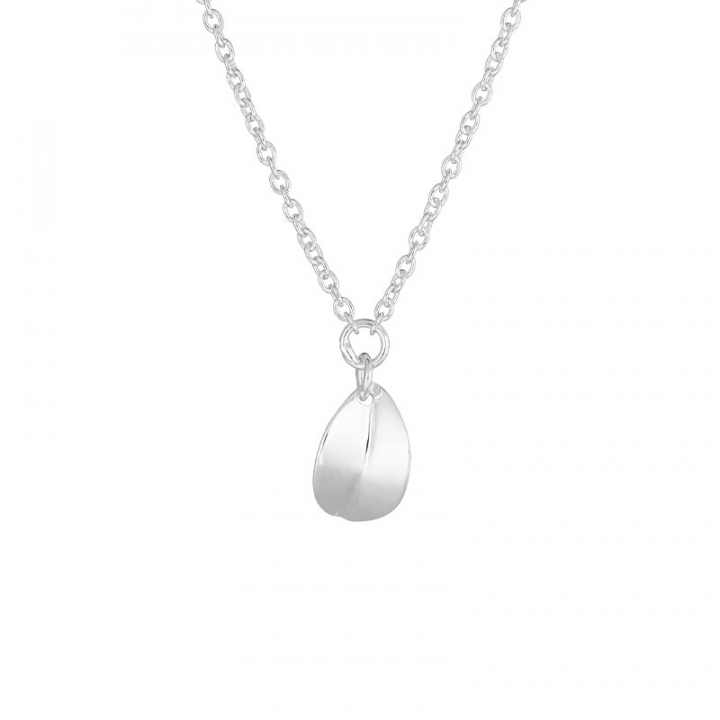 Botanica drop necklace i gruppen Halskjede hos SCANDINAVIAN JEWELRY DESIGN (BTA-N1S451-S)