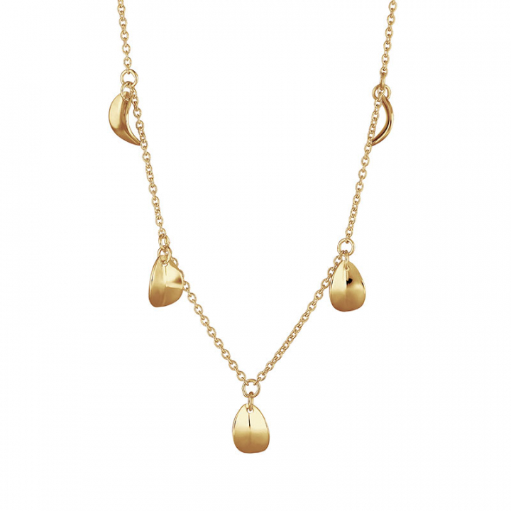 Botanica drop full necklace gold i gruppen Halskjede / Gullkjede hos SCANDINAVIAN JEWELRY DESIGN (BTA-N3S501-G)
