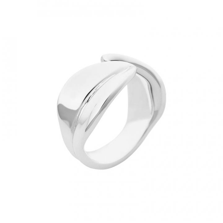 Product Image for DRAKENBERG SJÖLIN Botanica ring 18,5