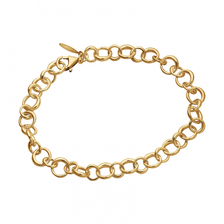Les Amis drop chain Armbånd Gull i gruppen Armbånd / Gullarmbånd hos SCANDINAVIAN JEWELRY DESIGN (LAS-B50210-G)