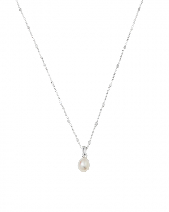  i gruppen Halskjede / Sølvkjede hos SCANDINAVIAN JEWELRY DESIGN (NS1353)