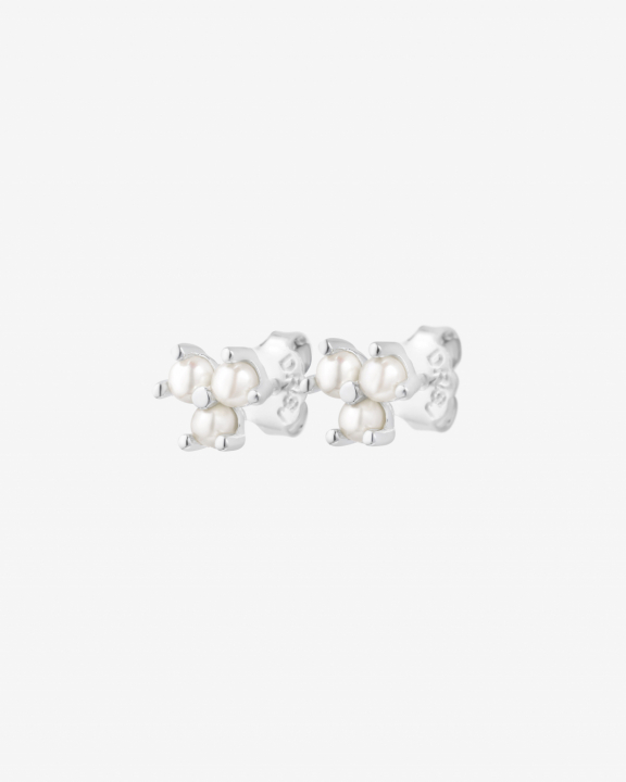 Petite Star pearl studs/Øreringer i gruppen Øredobber / Perleøredobber hos SCANDINAVIAN JEWELRY DESIGN (PSR-E1M000-S)