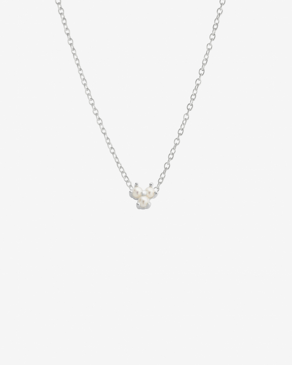 Petite Star pearl Halskjede i gruppen Halskjede / Sølvkjede hos SCANDINAVIAN JEWELRY DESIGN (PSR-N1M451-S)