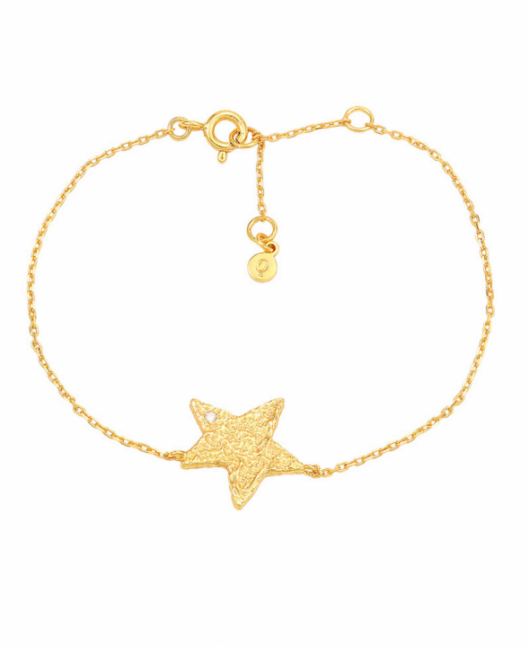 Astra Bracelet Gold i gruppen Armbånd / Gullarmbånd hos SCANDINAVIAN JEWELRY DESIGN (S08540G)