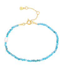 Wren Bracelet Gold i gruppen Armbånd / Gullarmbånd hos SCANDINAVIAN JEWELRY DESIGN (S08580G)