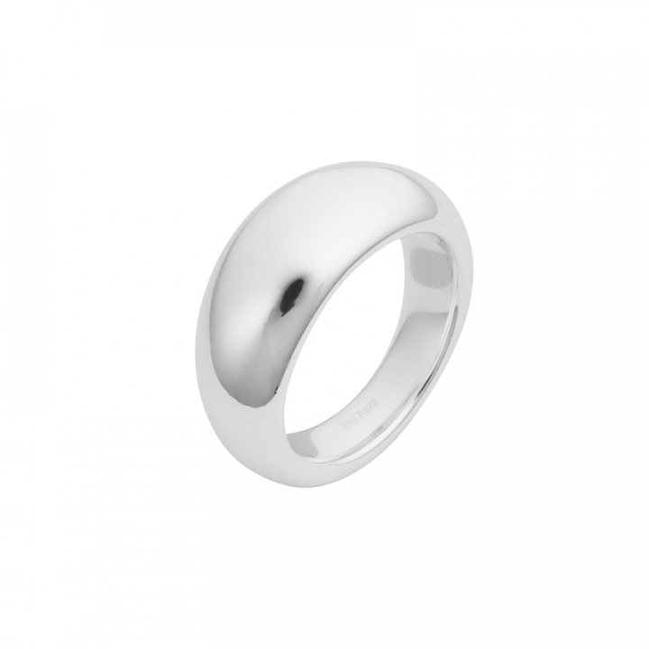 Product Image for DRAKENBERG SJÖLIN Stardust grande ring polished 16,5 Sølv