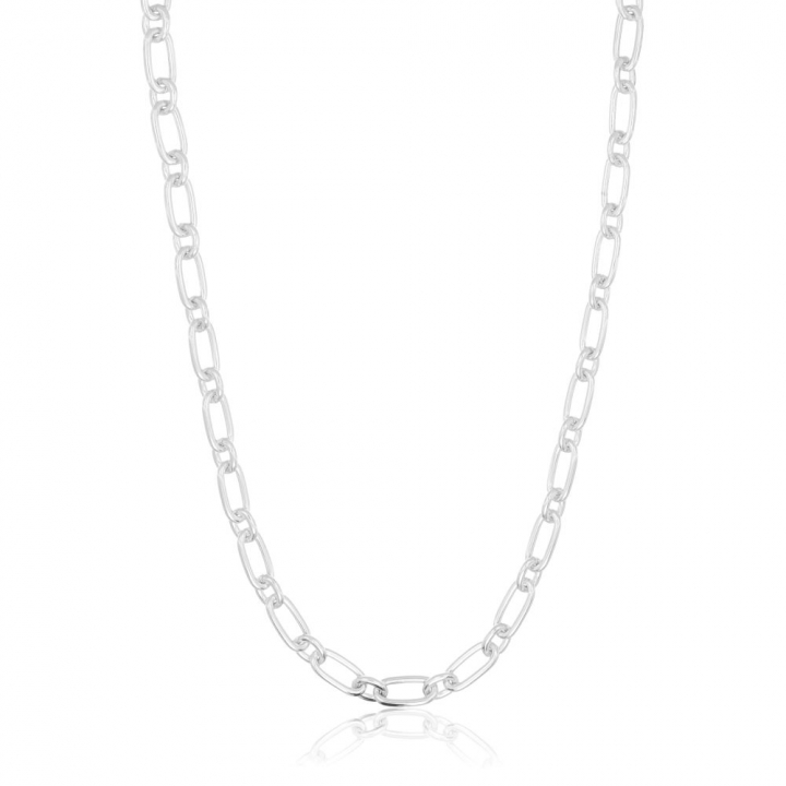 Capizzi Halskjede(Sølv) i gruppen Halskjede / Sølvkjede hos SCANDINAVIAN JEWELRY DESIGN (SJ-C42233)