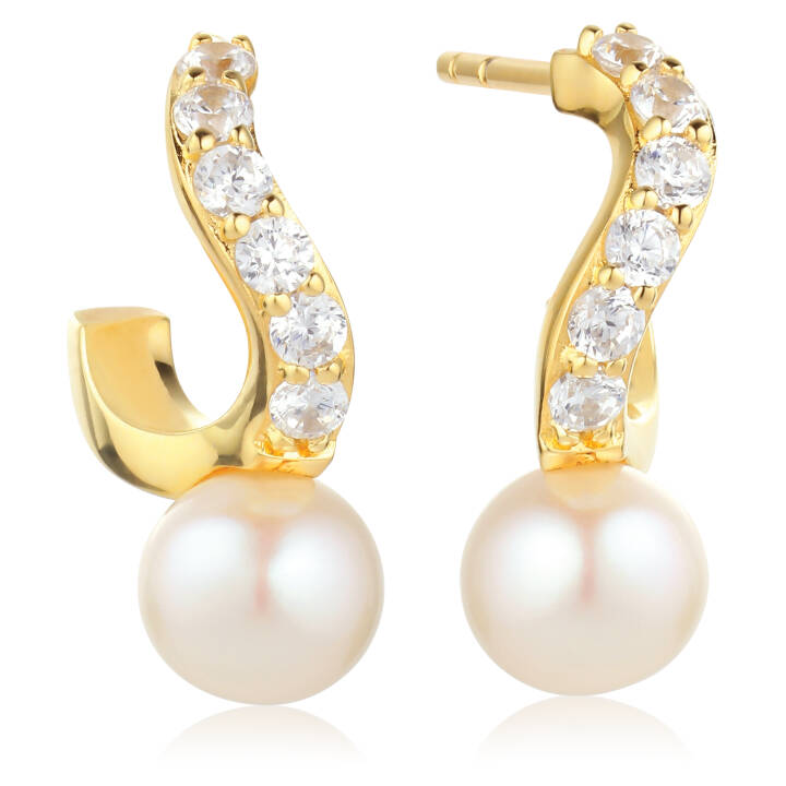 PONZA CREOLO PICCOLO Øreringer i gruppen Øredobber hos SCANDINAVIAN JEWELRY DESIGN (SJ-E12350-PCZ-YG)