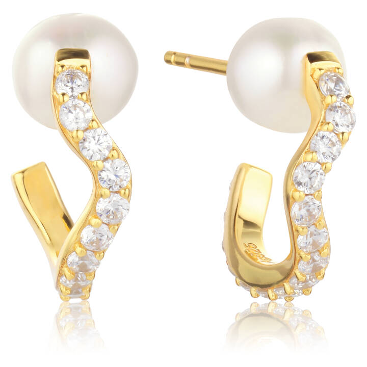 PONZA CREOLO MEDIO Øreringer i gruppen Øredobber / Perleøredobber hos SCANDINAVIAN JEWELRY DESIGN (SJ-E12354-PCZ-YG)