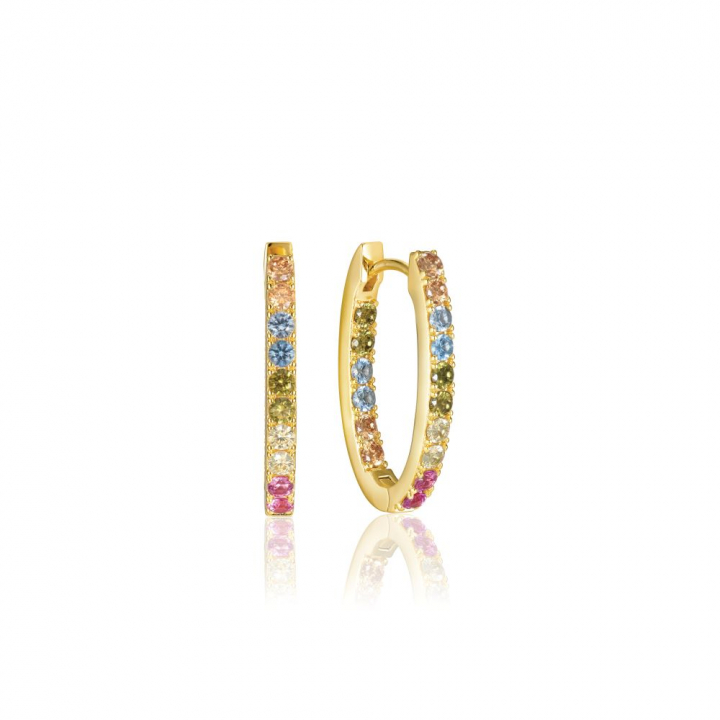 Ellisse Piccolo - 18k Gullpläterade, med multifärgade zirkoner Øreringer i gruppen Øredobber hos SCANDINAVIAN JEWELRY DESIGN (SJ-E2312-XCZ-YG)