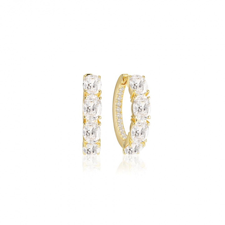 Ellisse Creolo - 18k Gullpläterade, med vita zirkoner Øreringer i gruppen Øredobber / Gulløredobber hos SCANDINAVIAN JEWELRY DESIGN (SJ-E2315-CZ-YG)