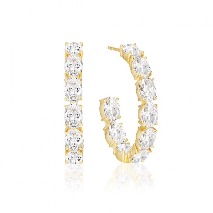 Ellisse - 18k Gullpläterade, med vita zirkoner Øreringer i gruppen Øredobber / Gulløredobber hos SCANDINAVIAN JEWELRY DESIGN (SJ-E2319-CZ-YG)