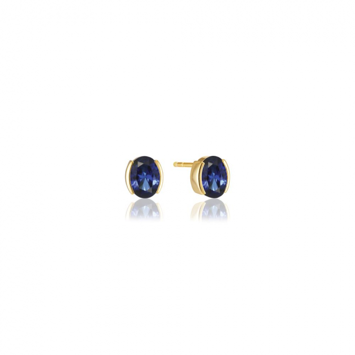 Ellisse Carezza - 18k Gullpläterade, med blåa zirkoner Øreringer i gruppen Øredobber / Gulløredobber hos SCANDINAVIAN JEWELRY DESIGN (SJ-E2350-BLCZ-YG)