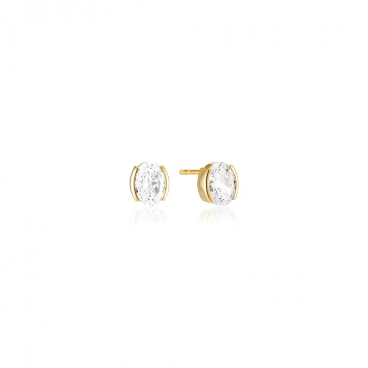 Ellisse Carezza - 18k Gullpläterade, med vita zirkoner Øreringer i gruppen Øredobber / Gulløredobber hos SCANDINAVIAN JEWELRY DESIGN (SJ-E2350-CZ-YG)