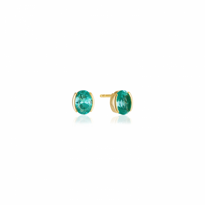 ELLISSE CAREZZA Earrings Gold i gruppen Øredobber hos SCANDINAVIAN JEWELRY DESIGN (SJ-E2350-TQCZ-YG)