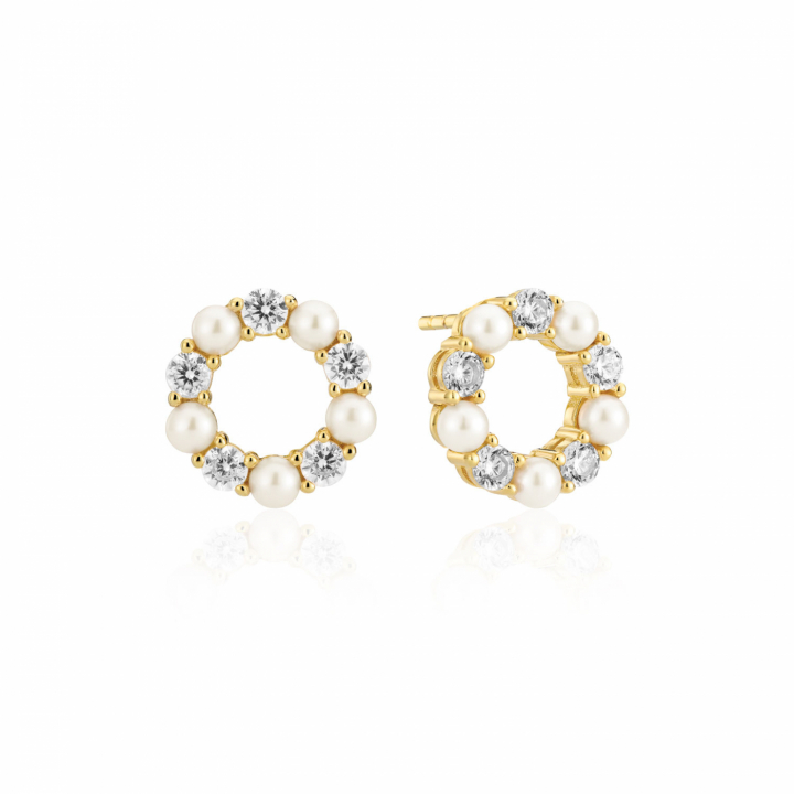 BIELLA PERLA Earrings Gold i gruppen Øredobber / Perleøredobber hos SCANDINAVIAN JEWELRY DESIGN (SJ-E2432-PCZ-YG)