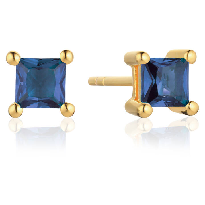 ELLERA QUADRATO Øreringer i gruppen Øredobber / Gulløredobber hos SCANDINAVIAN JEWELRY DESIGN (SJ-E42277-BLCZ-YG)